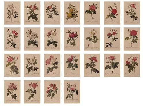 "The Bible of Roses" Vintage Redouté Postcard Set (25 pcs)