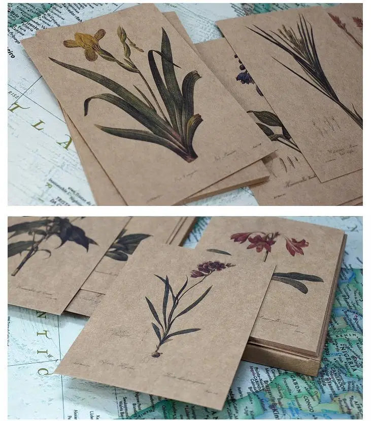 'The Bible Of Lilies' Vintage Redouté Lily & Bulbous Plant Postcard Set (25 pcs)