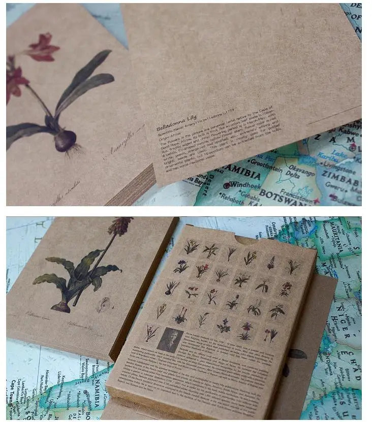 'The Bible Of Lilies' Vintage Redouté Lily & Bulbous Plant Postcard Set (25 pcs)