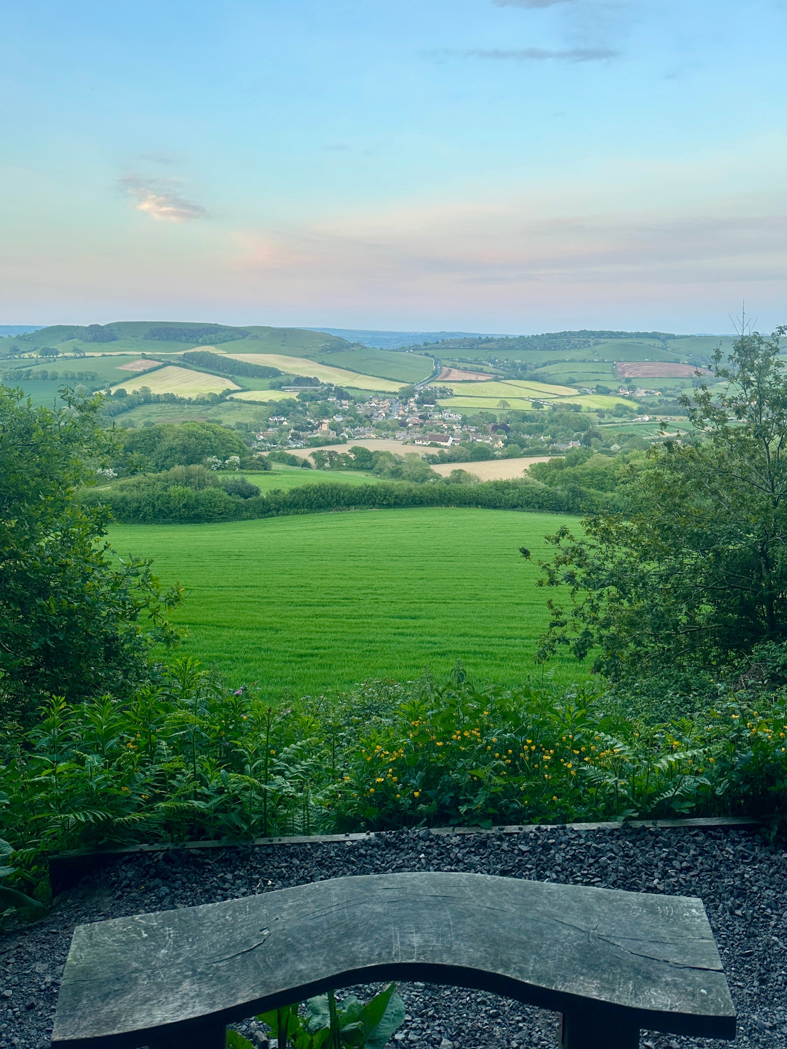 Dorset landscape